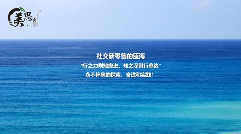 外贸潮涌:向康贸易的市场布局与趋势洞察